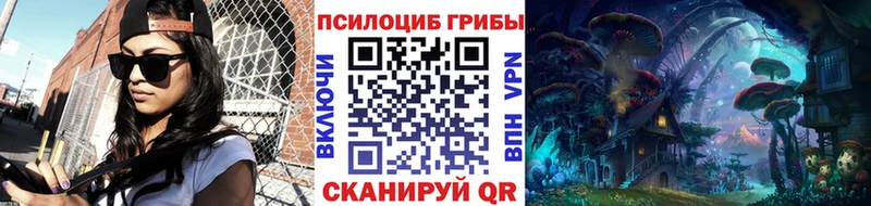 Псилоцибиновые грибы ЛСД  hydra сайт  Жирновск 